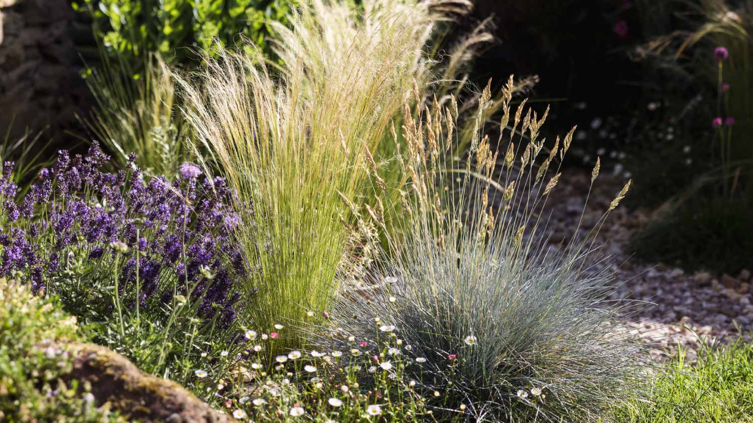 Garden bed with different types of grass