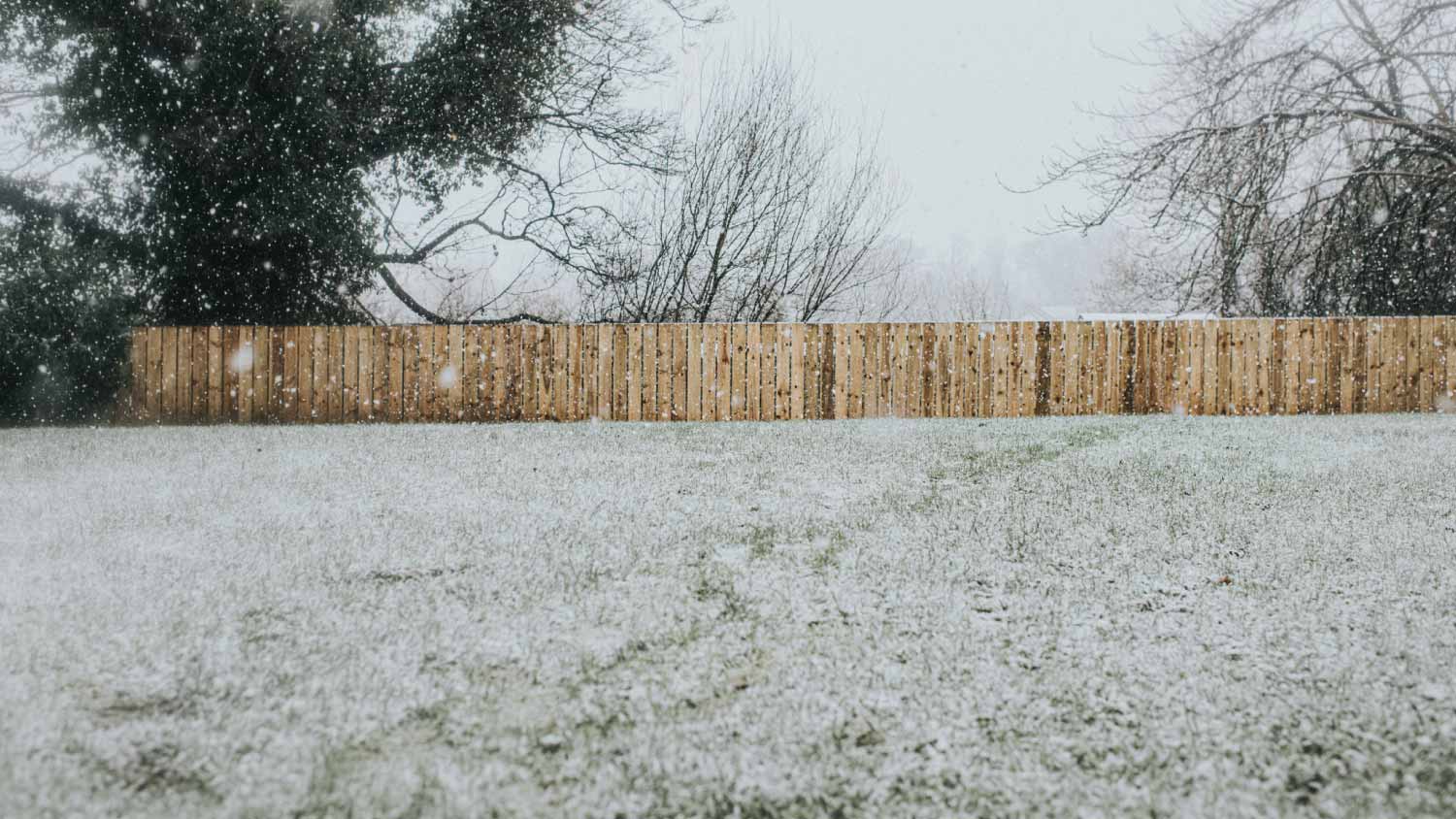 Garden covered in snow