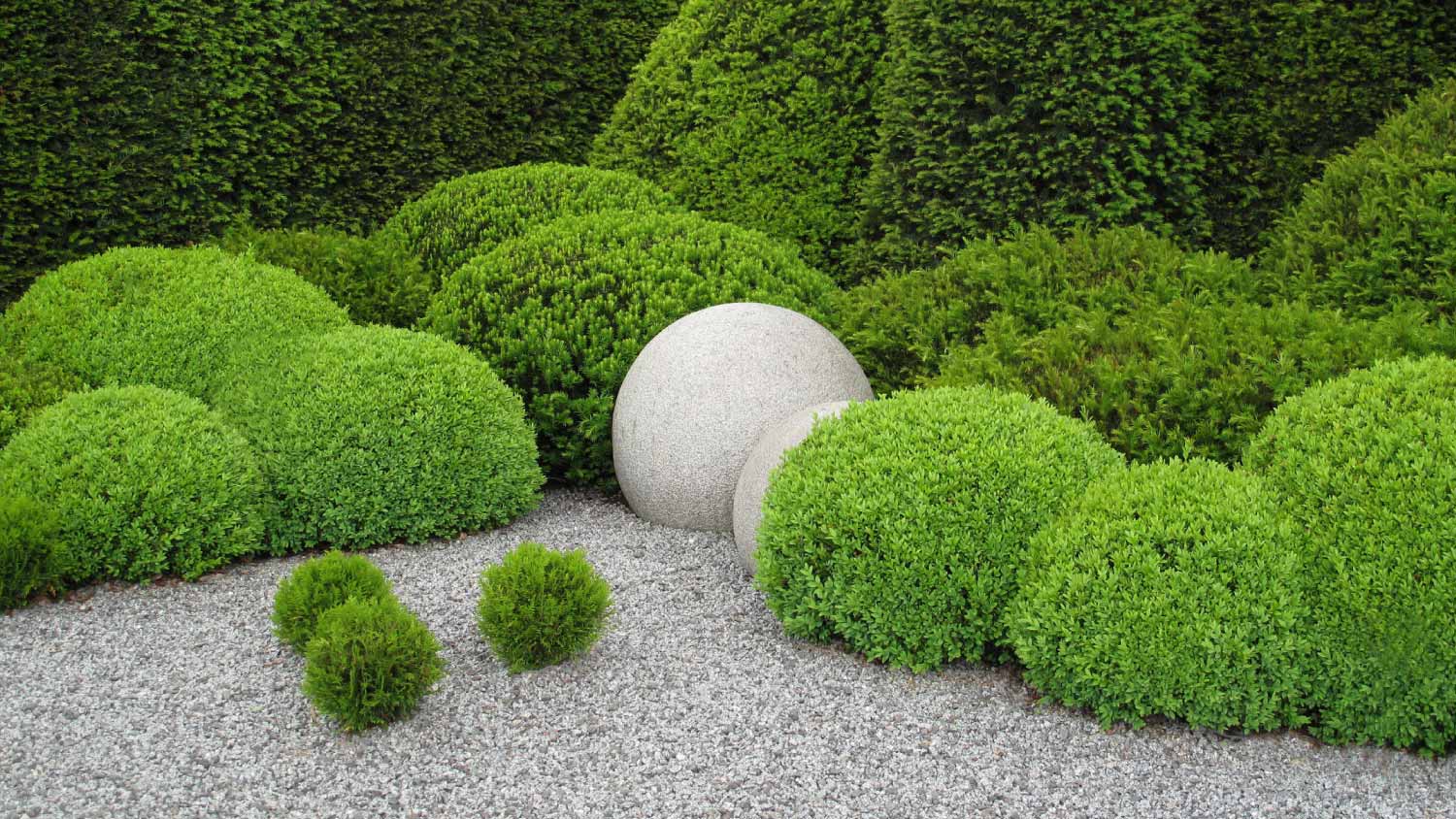 Garden design with yew and stone balls