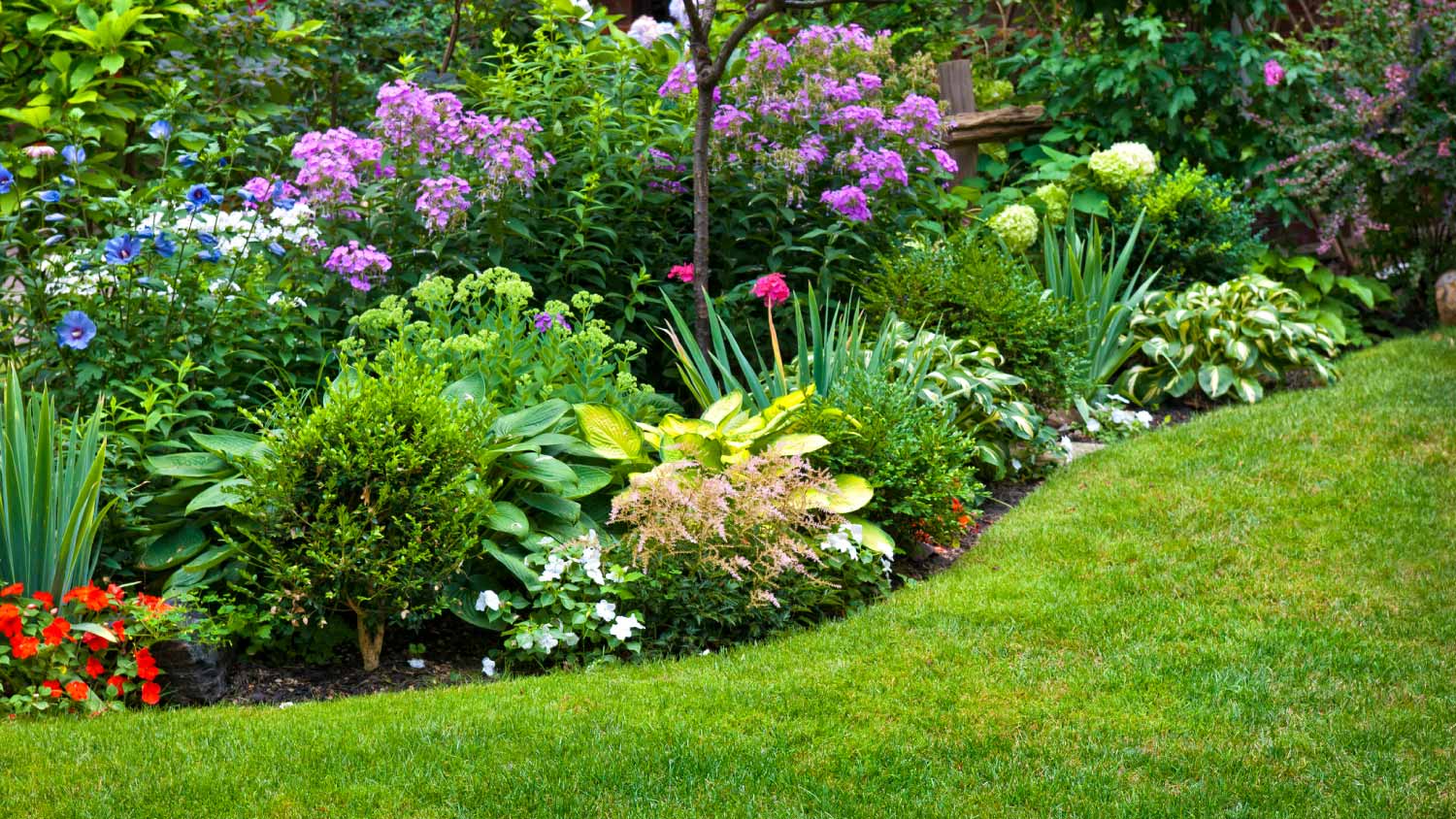 Garden with flower bed and colorful plants