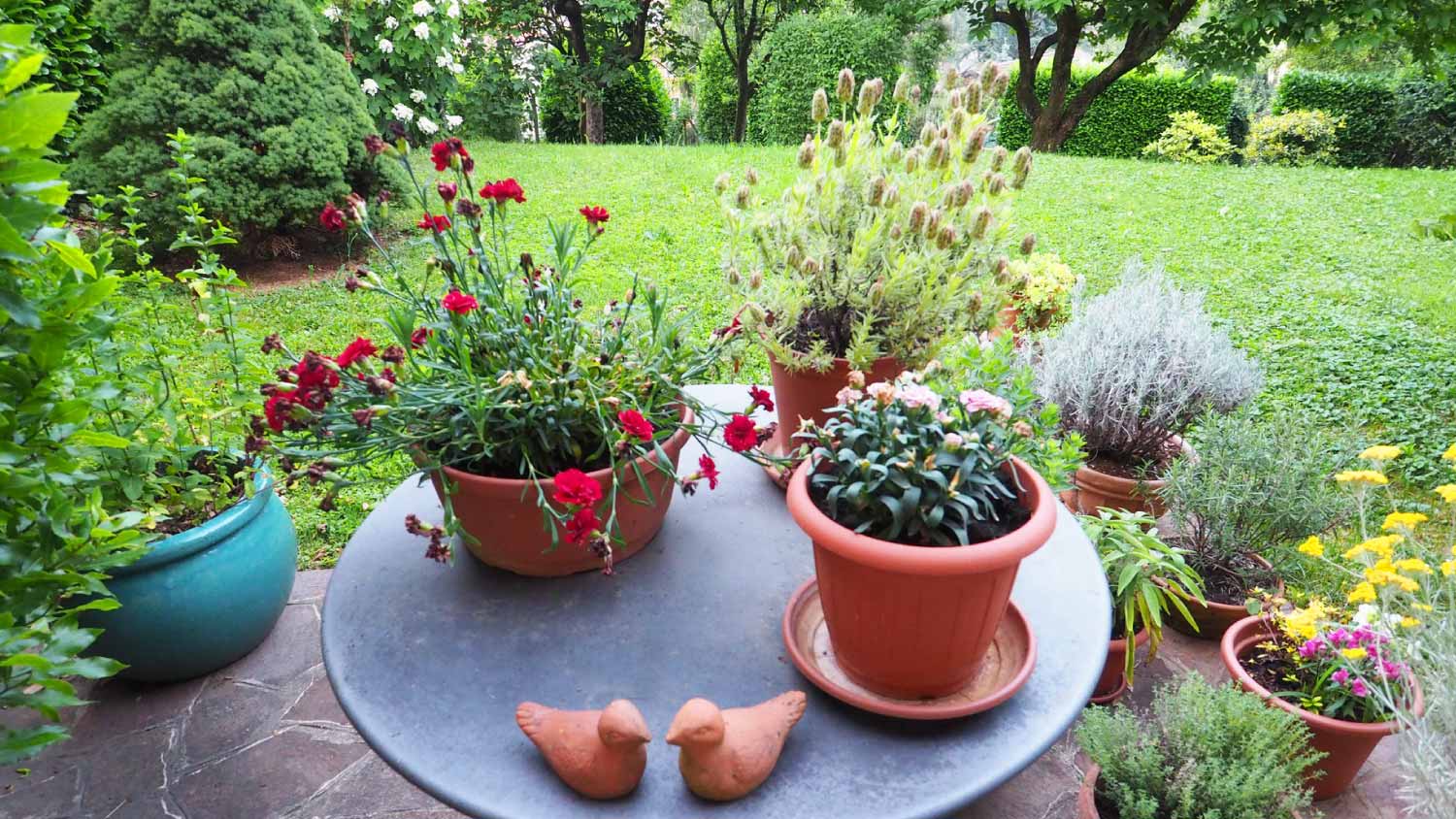 Garden with flower pots