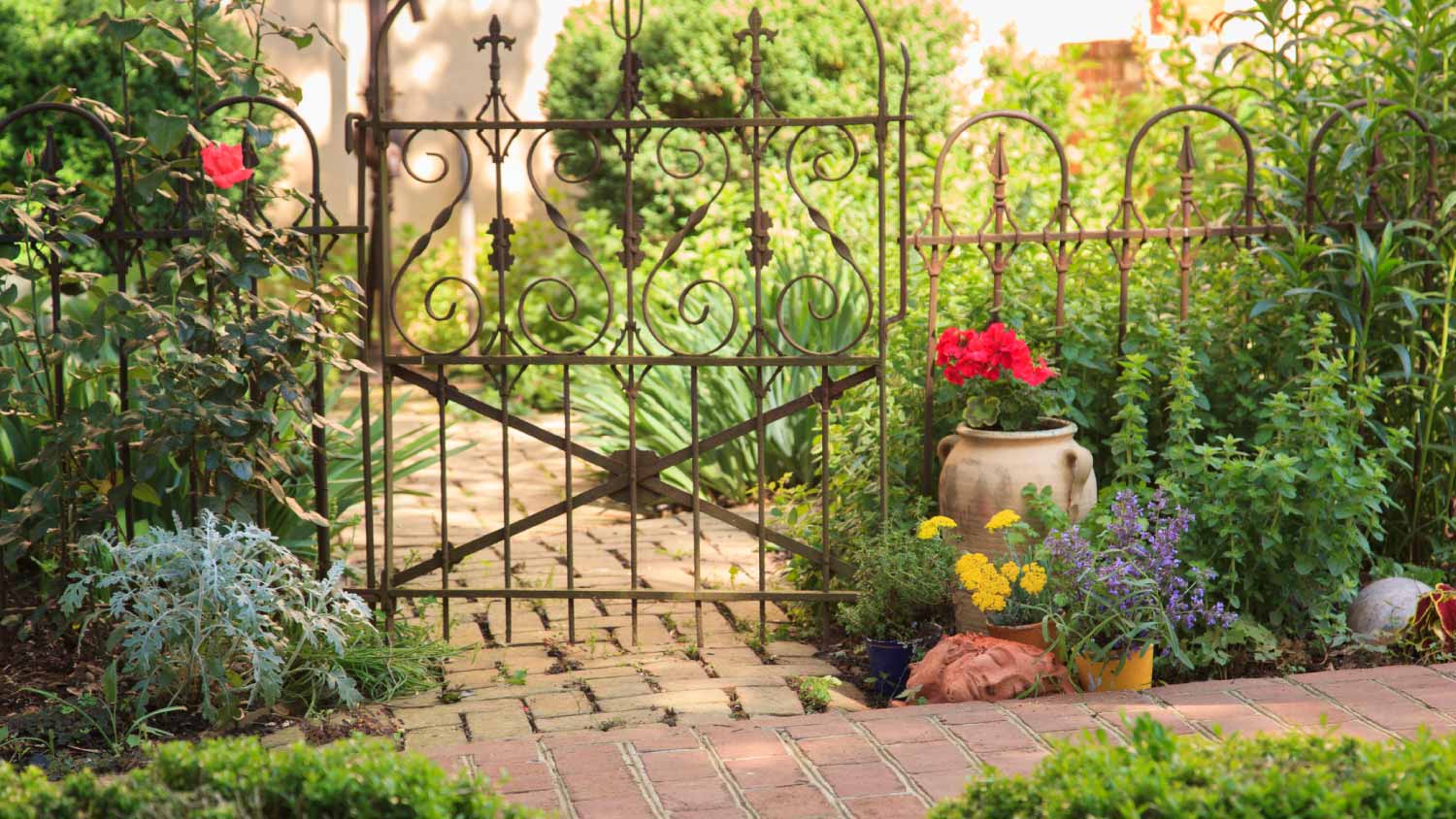 Garden path with flowers