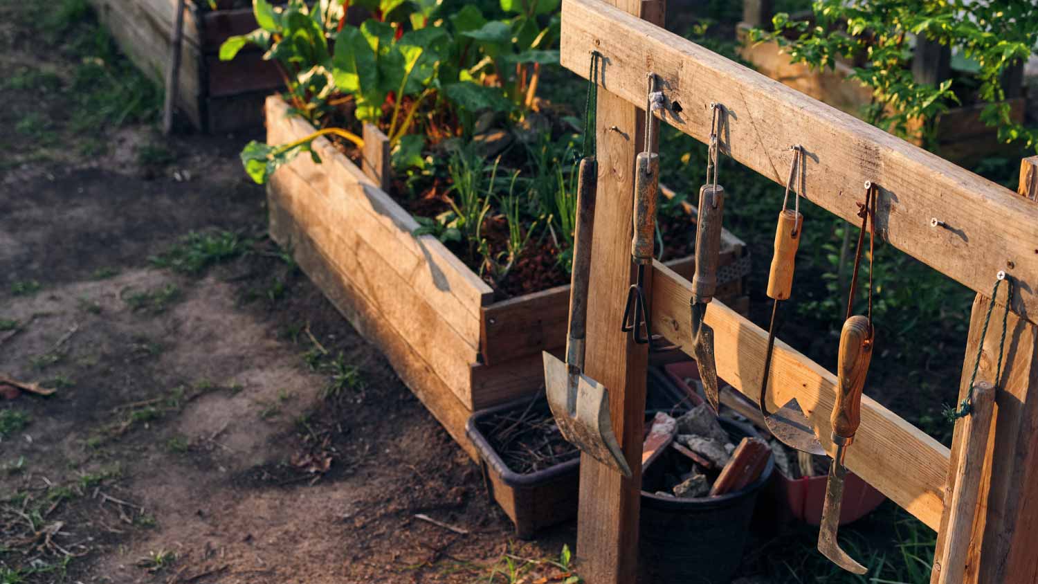 Gardening equipment hanging on the wooden stand