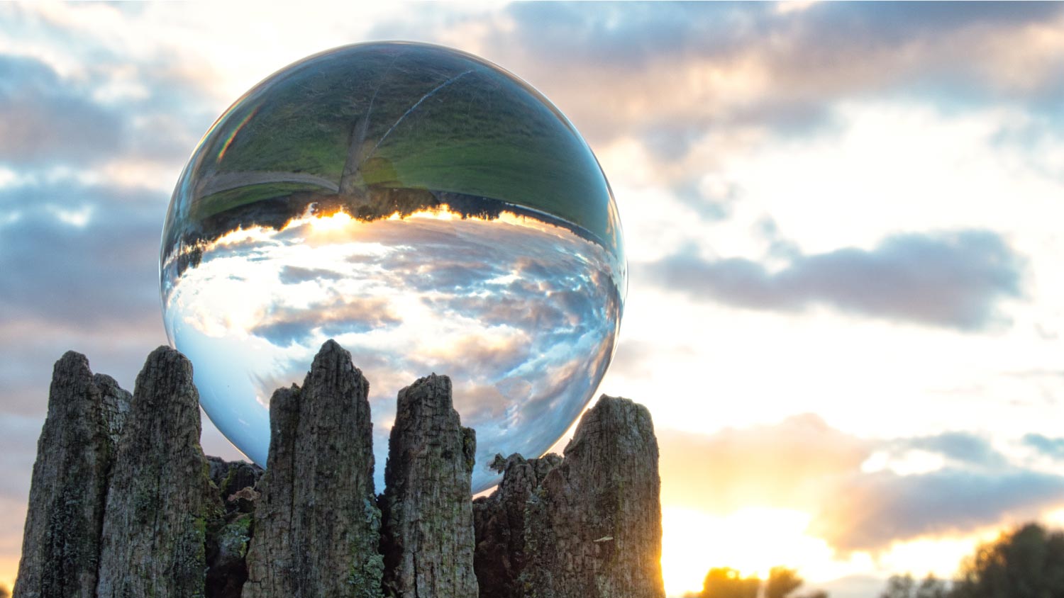 A glass ball on a rotten trunk