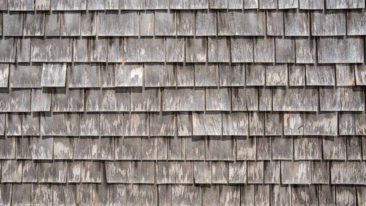 Gray cape cod shingles