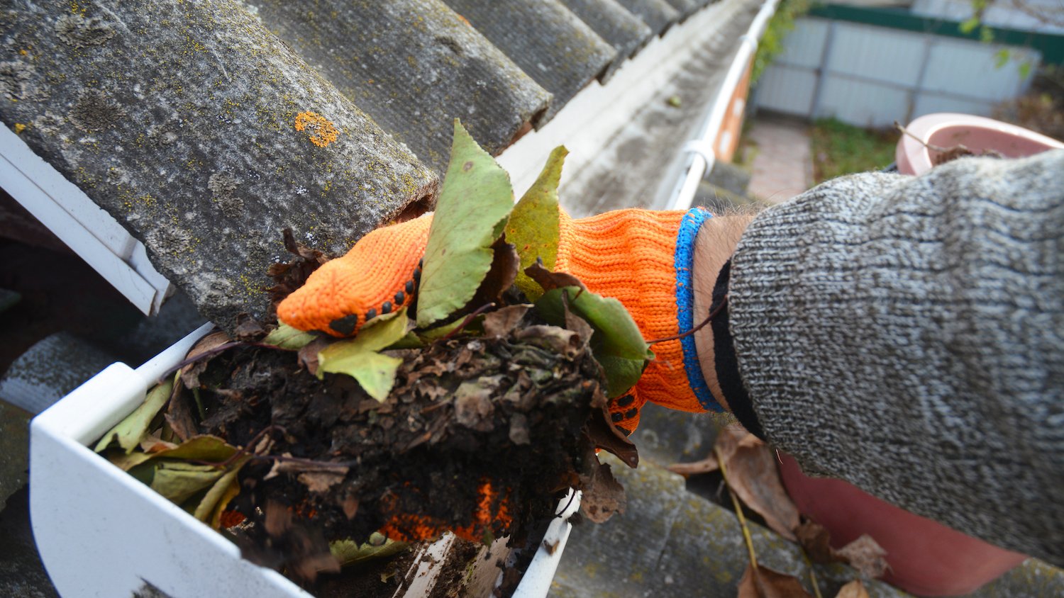 An orange-gloved hand pulls leaves and debris out of a gutter