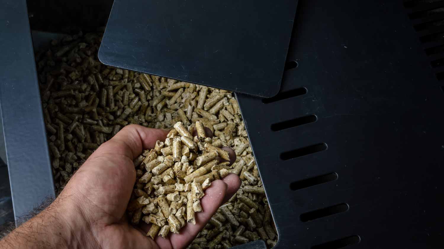 Hand holding wood pellets