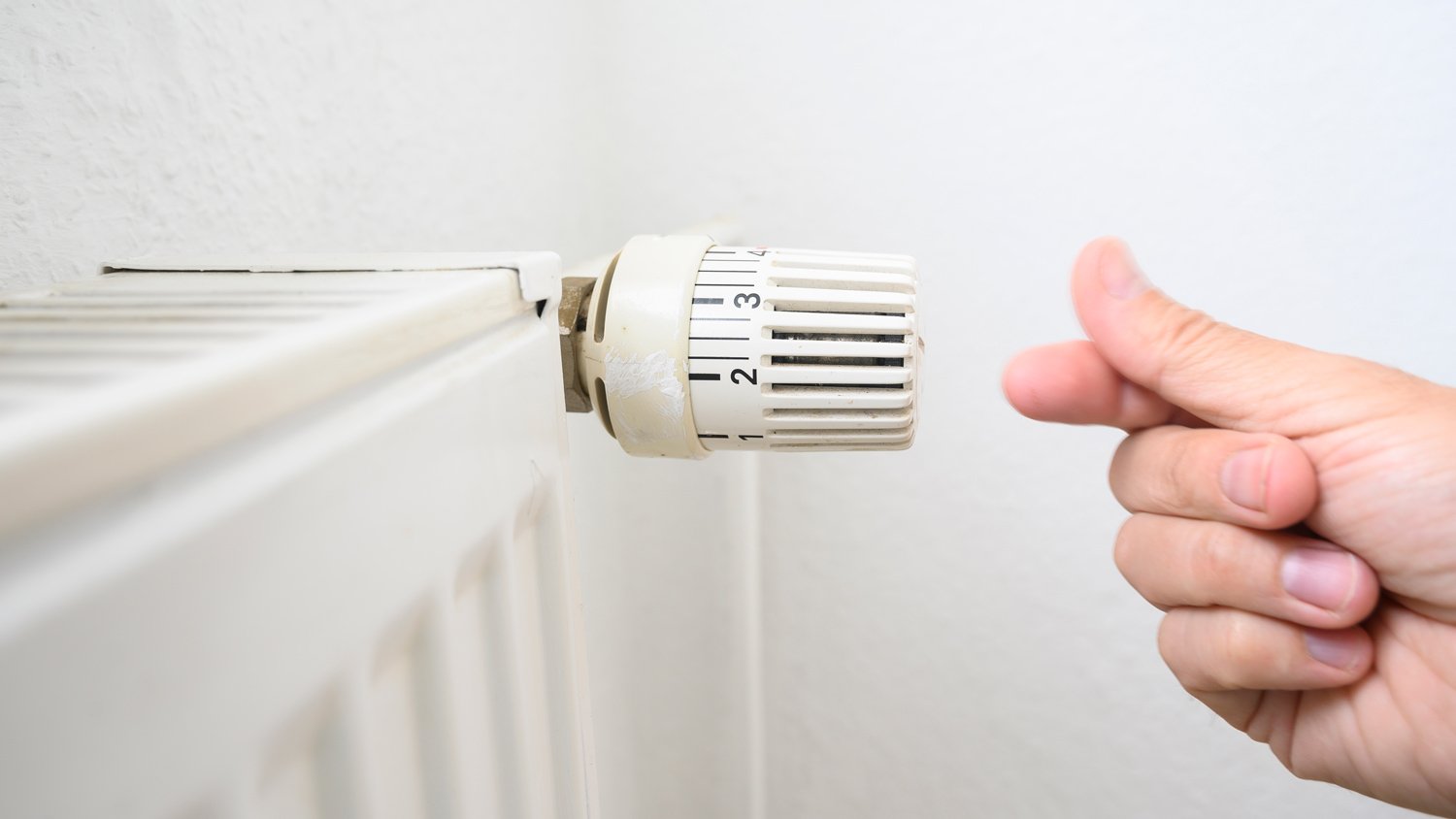 Hand adjusting knob