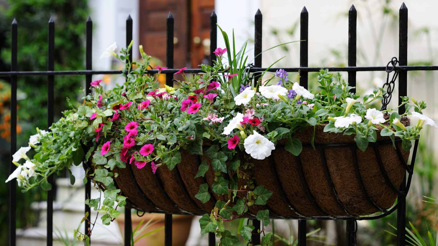 Hanging flowers on fence 