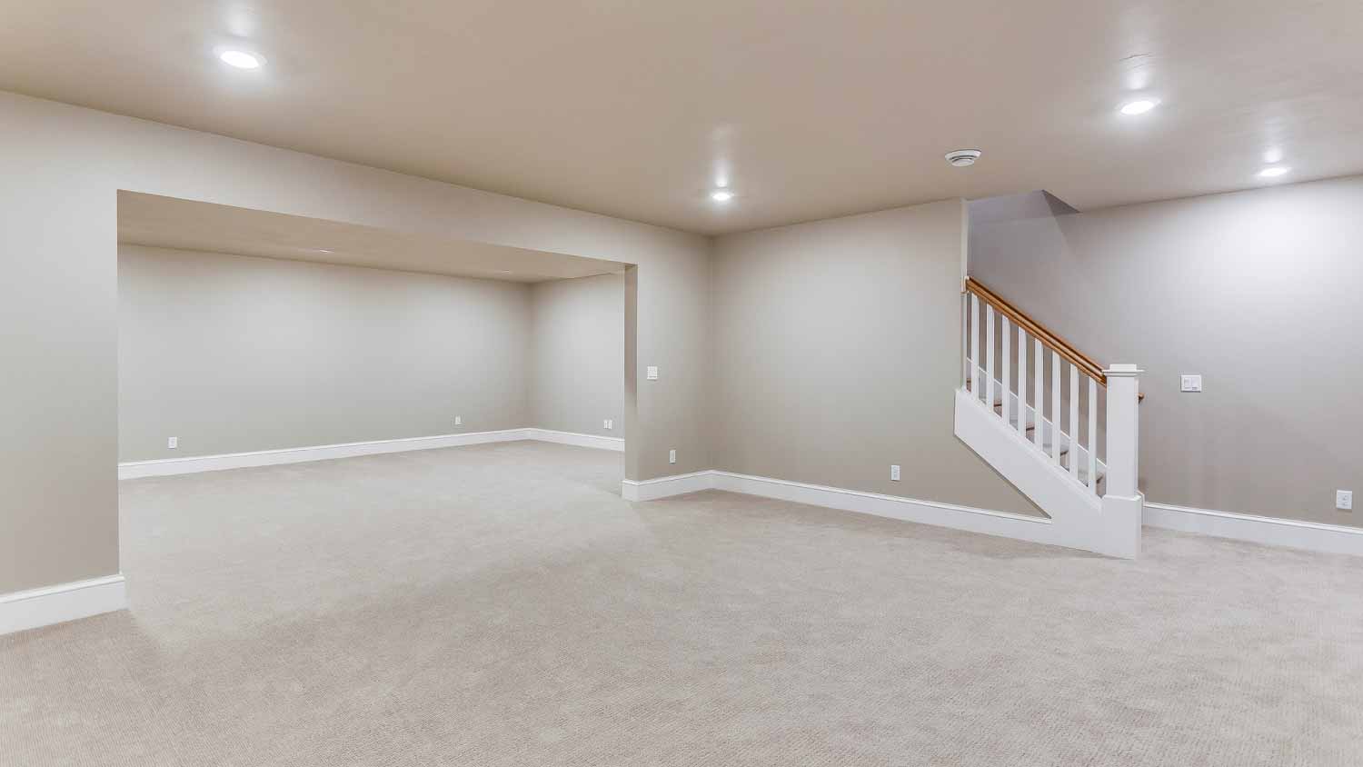 Huge basement and entertainment room