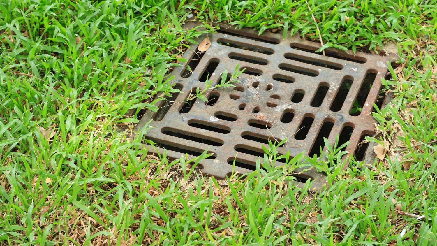 Iron grate of water drain