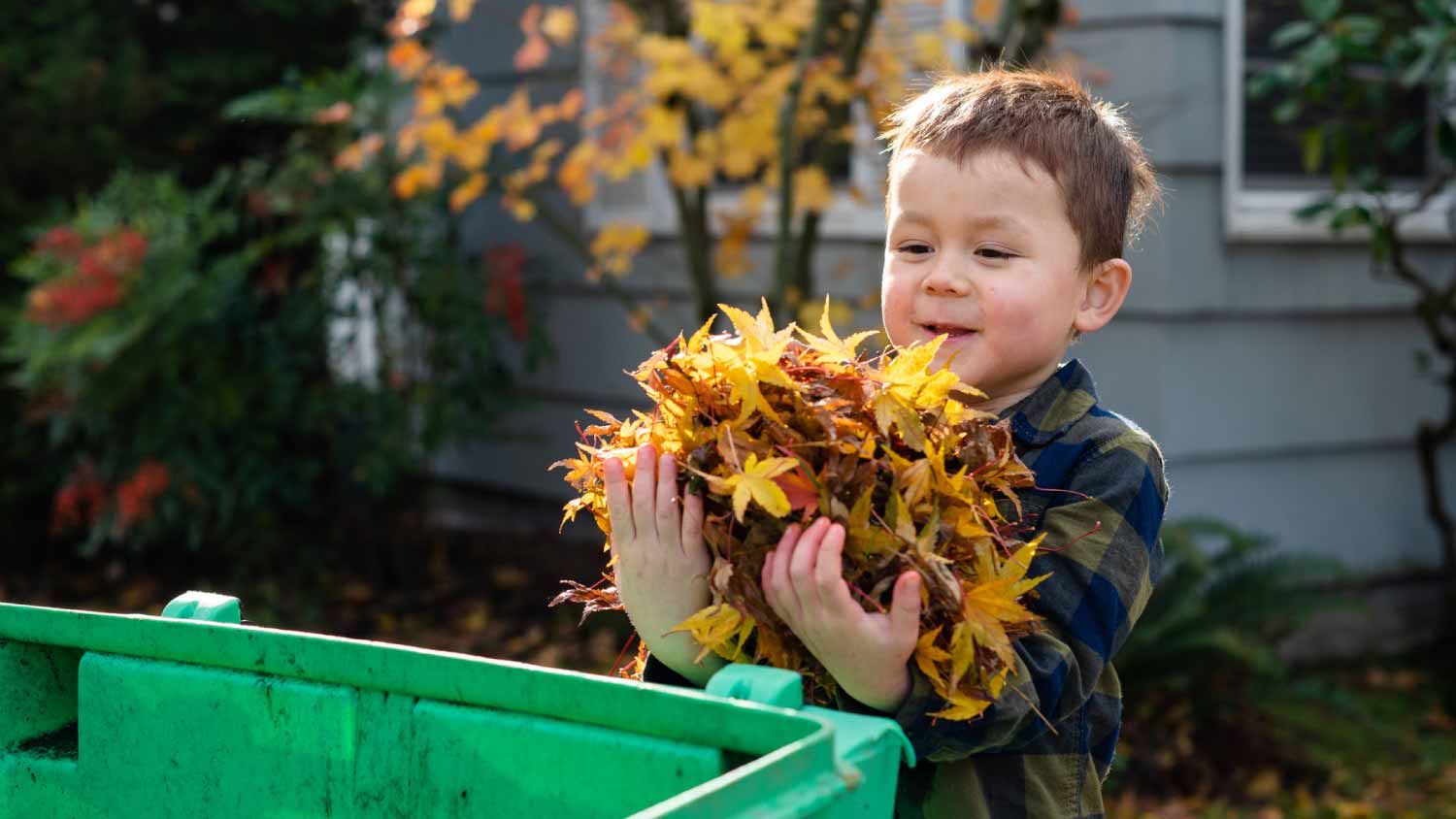 Kid putting pile of leaves into bin