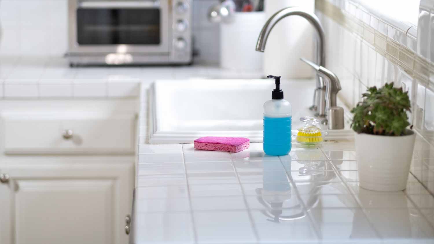 Kitchen sink and countertop