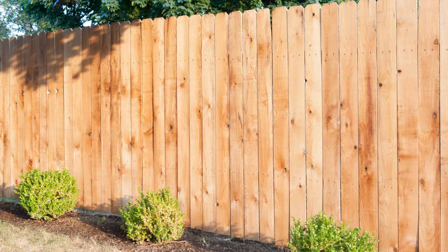 Large cedar fence
