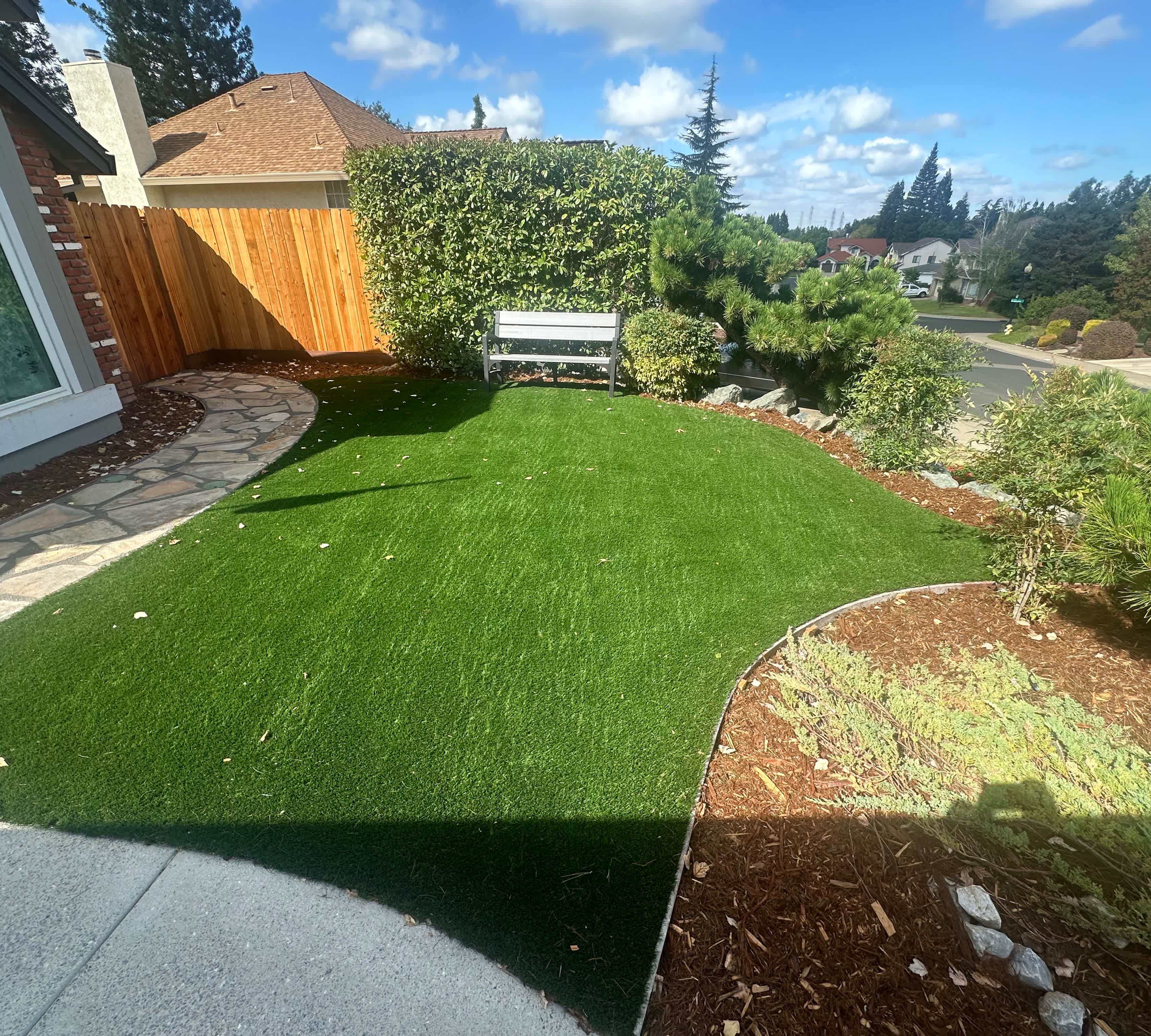 open yard with no tree stump