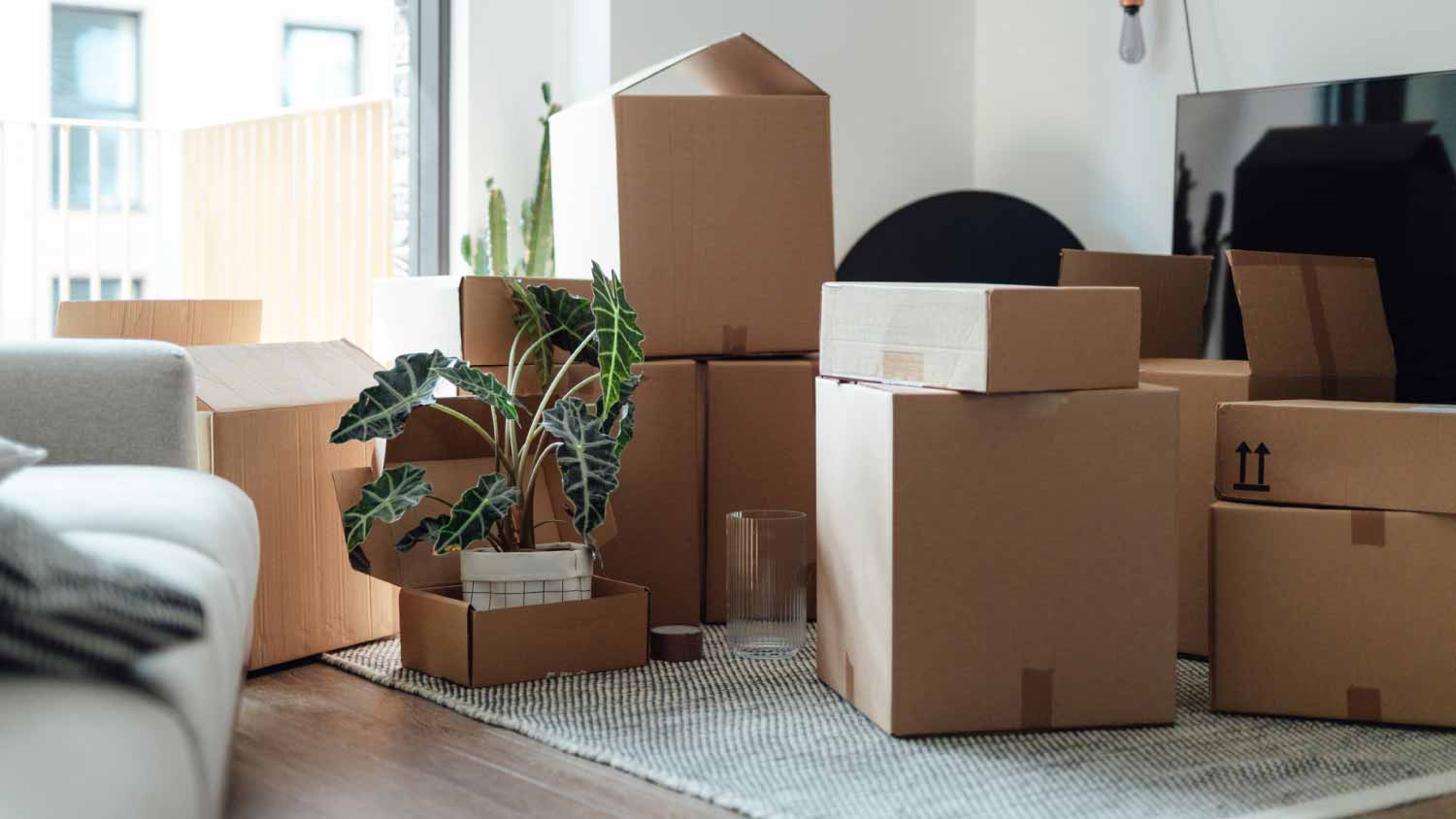 Living room full of boxes