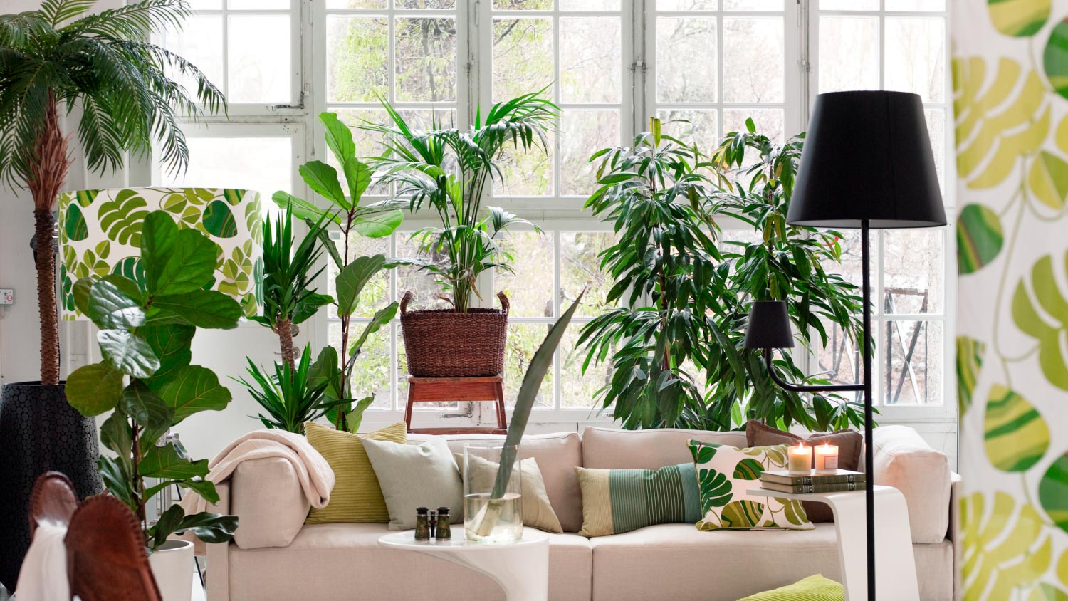 A living room with potted plants