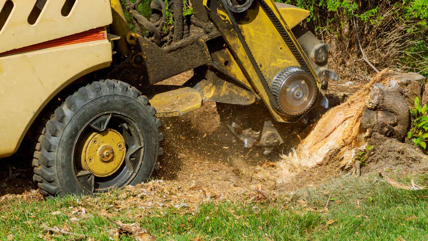 Machine removing tree stump 