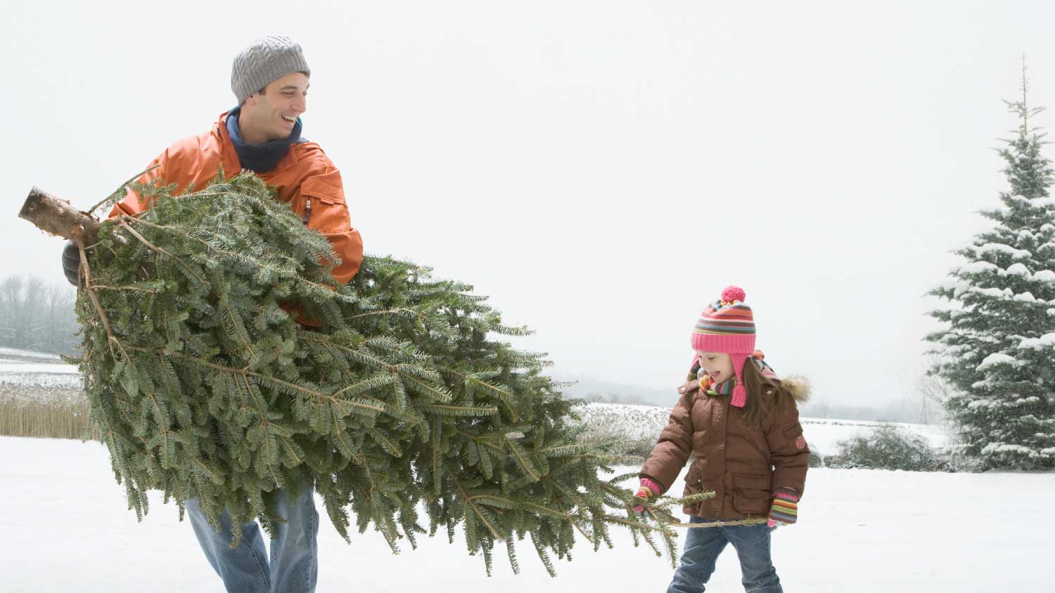 Man carrying Christmas tree outside