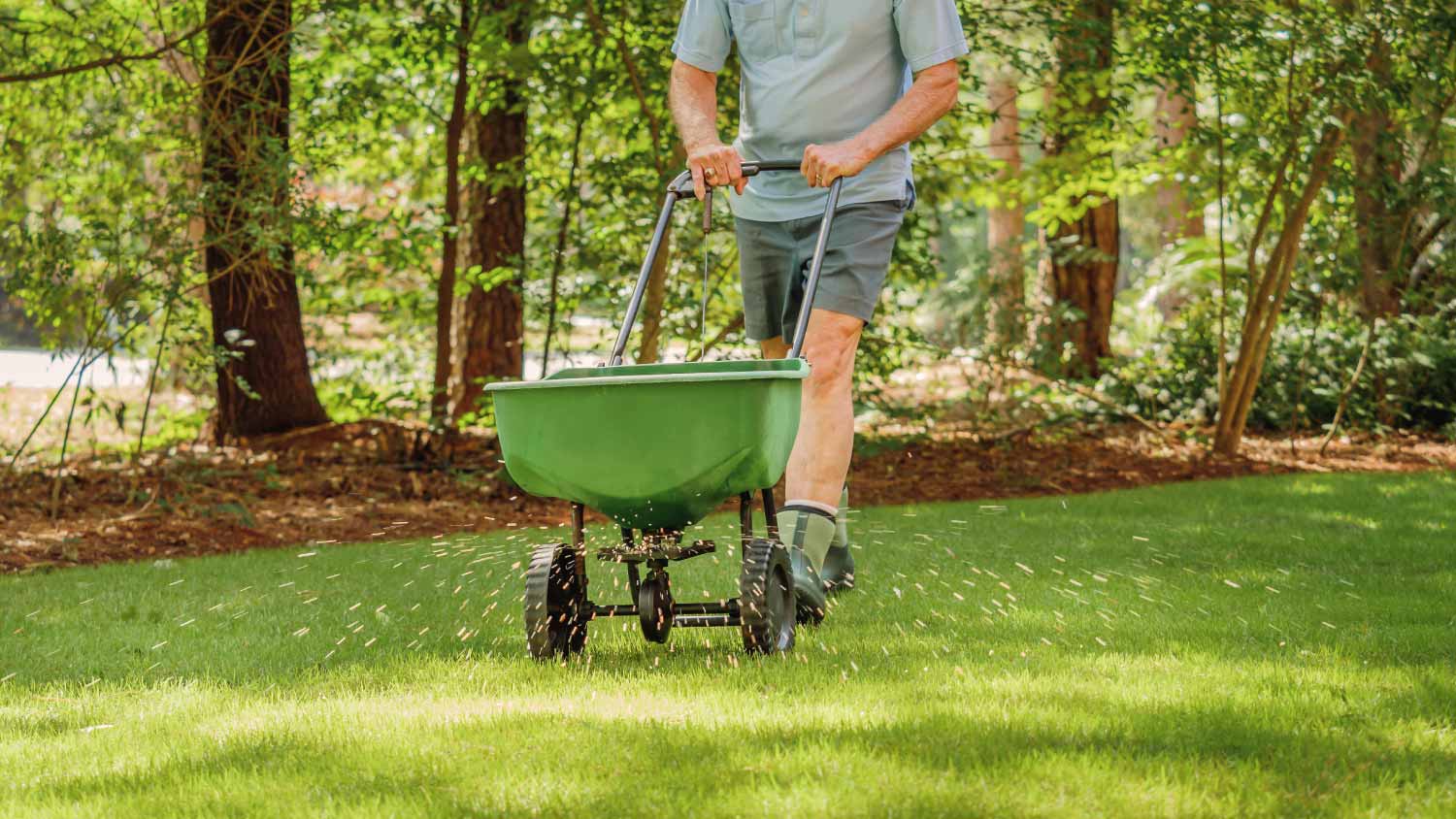 Man fertilizing lawn