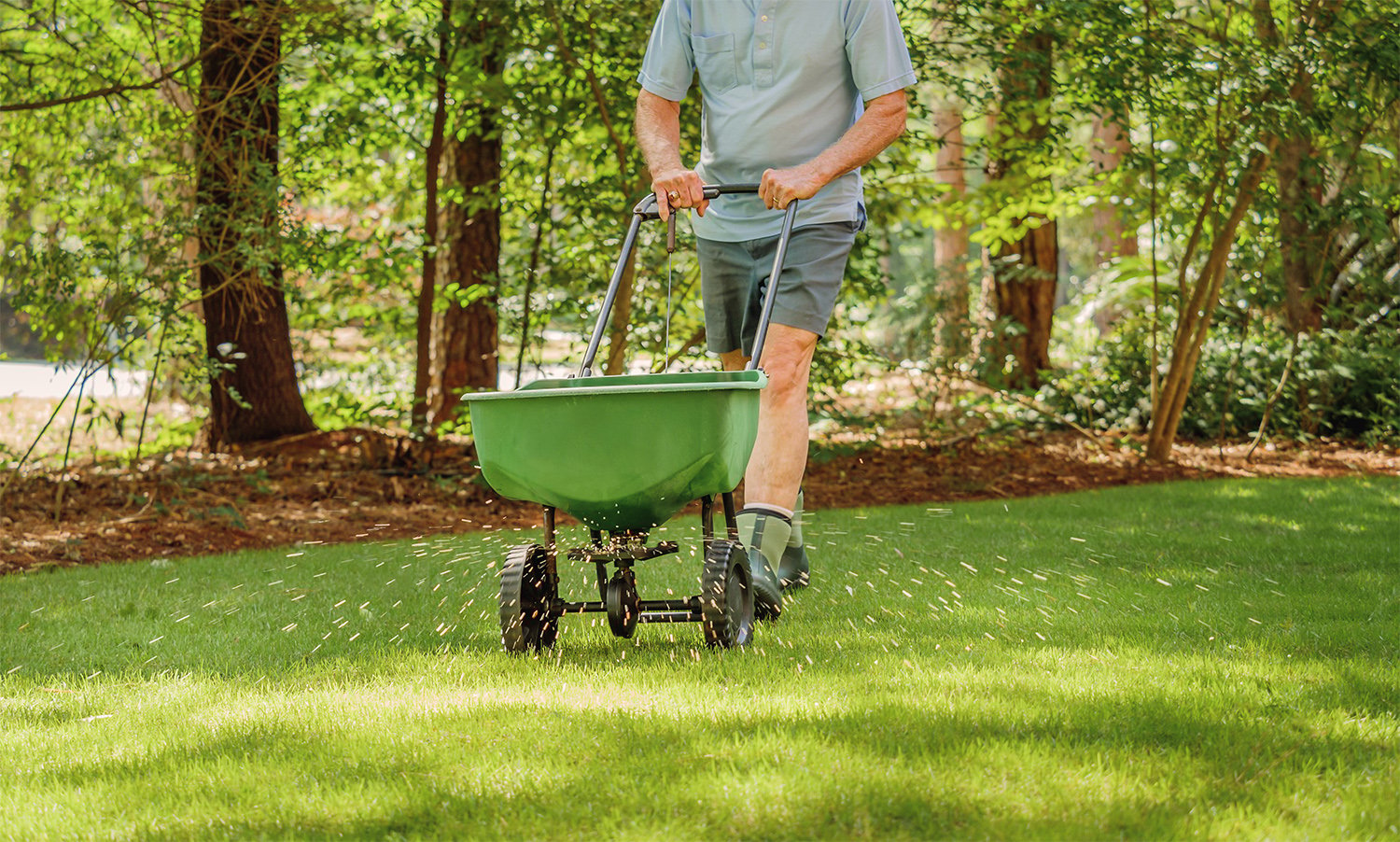 Man fertilizing the yard