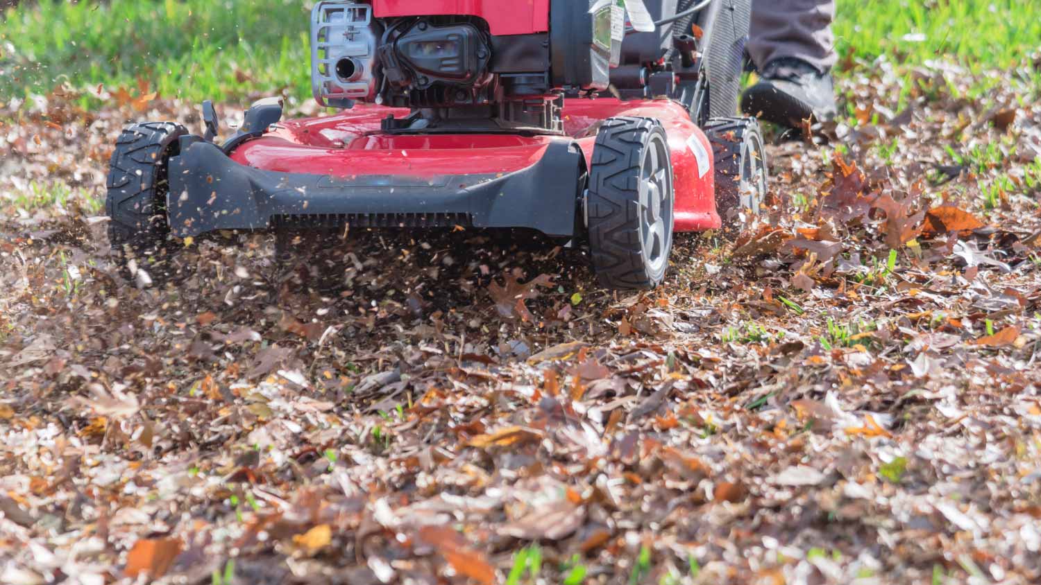 Man pushing gasoline lawn mower