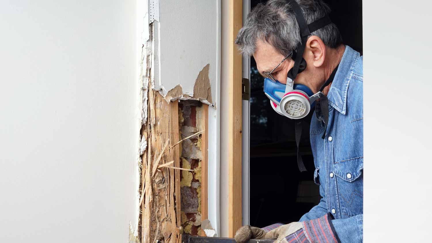 Man removing termite damaged