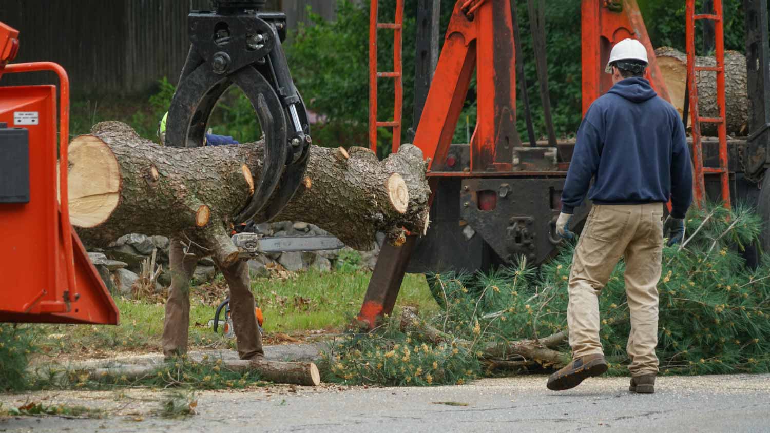 Man removing tree trunk