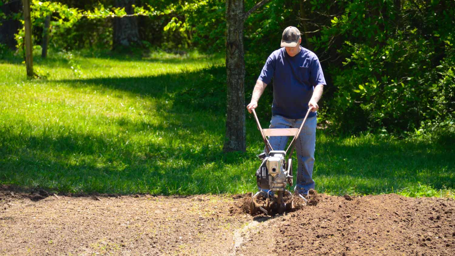 Man rototilling garden