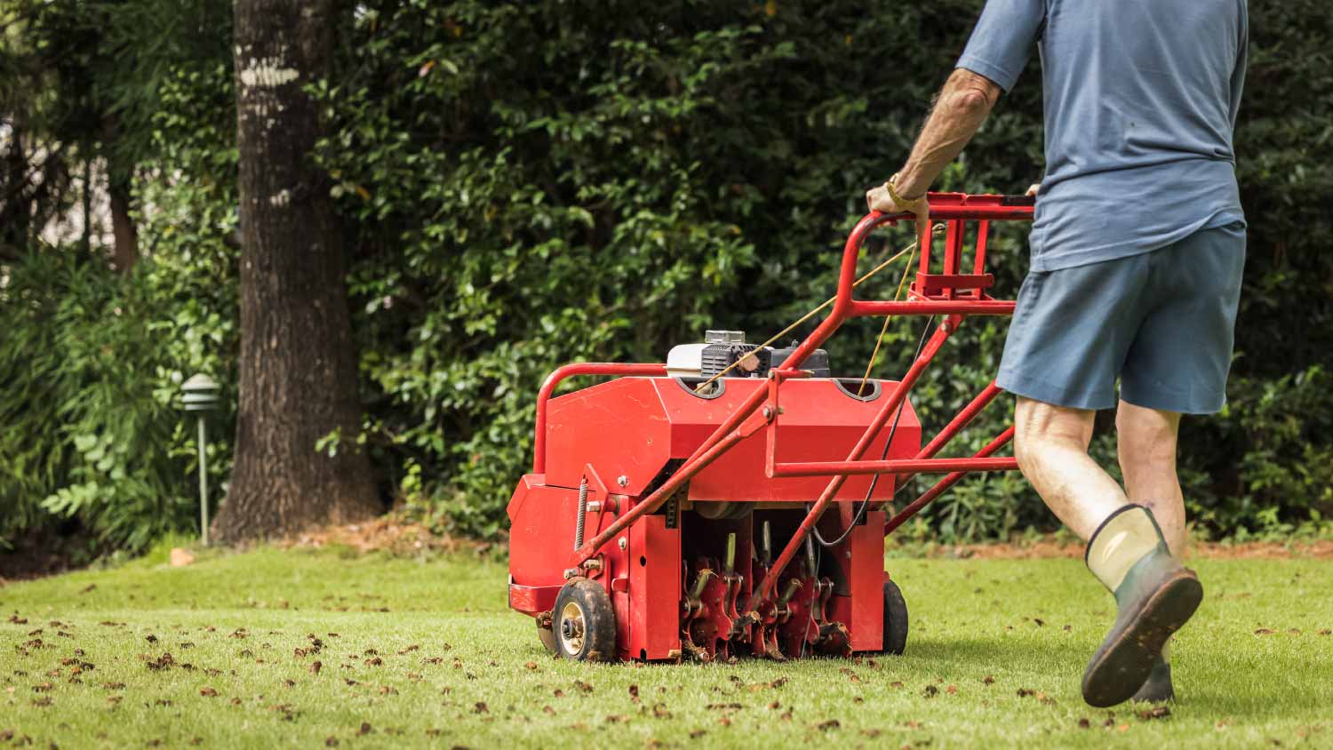 Man using gas powered aerating machine