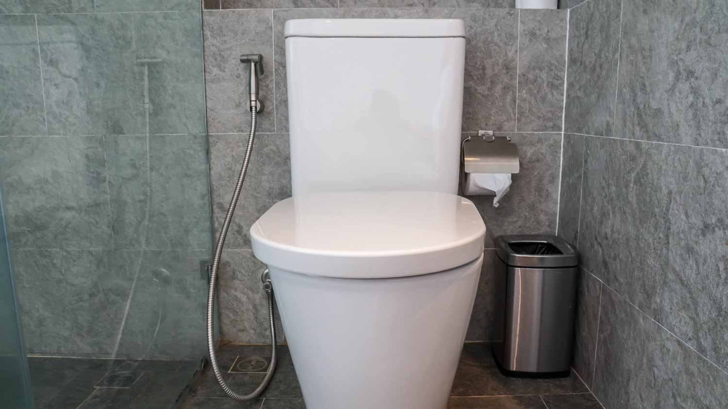 Modern toilet bowl in bathroom