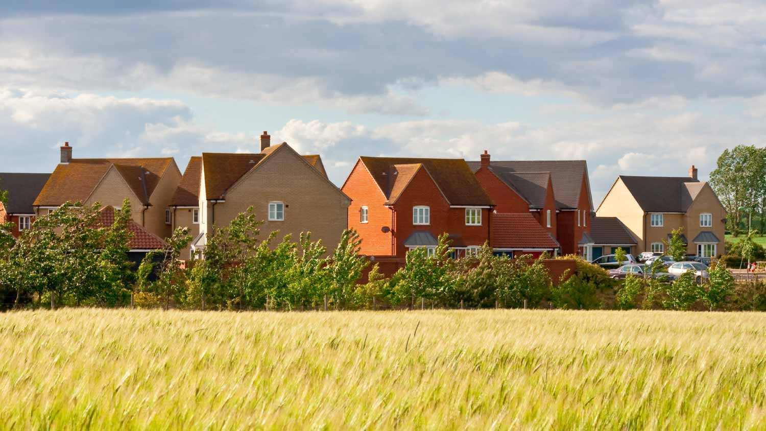 Modern village with orange houses