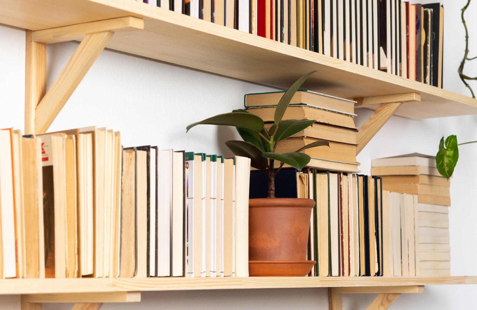 wall book shelves