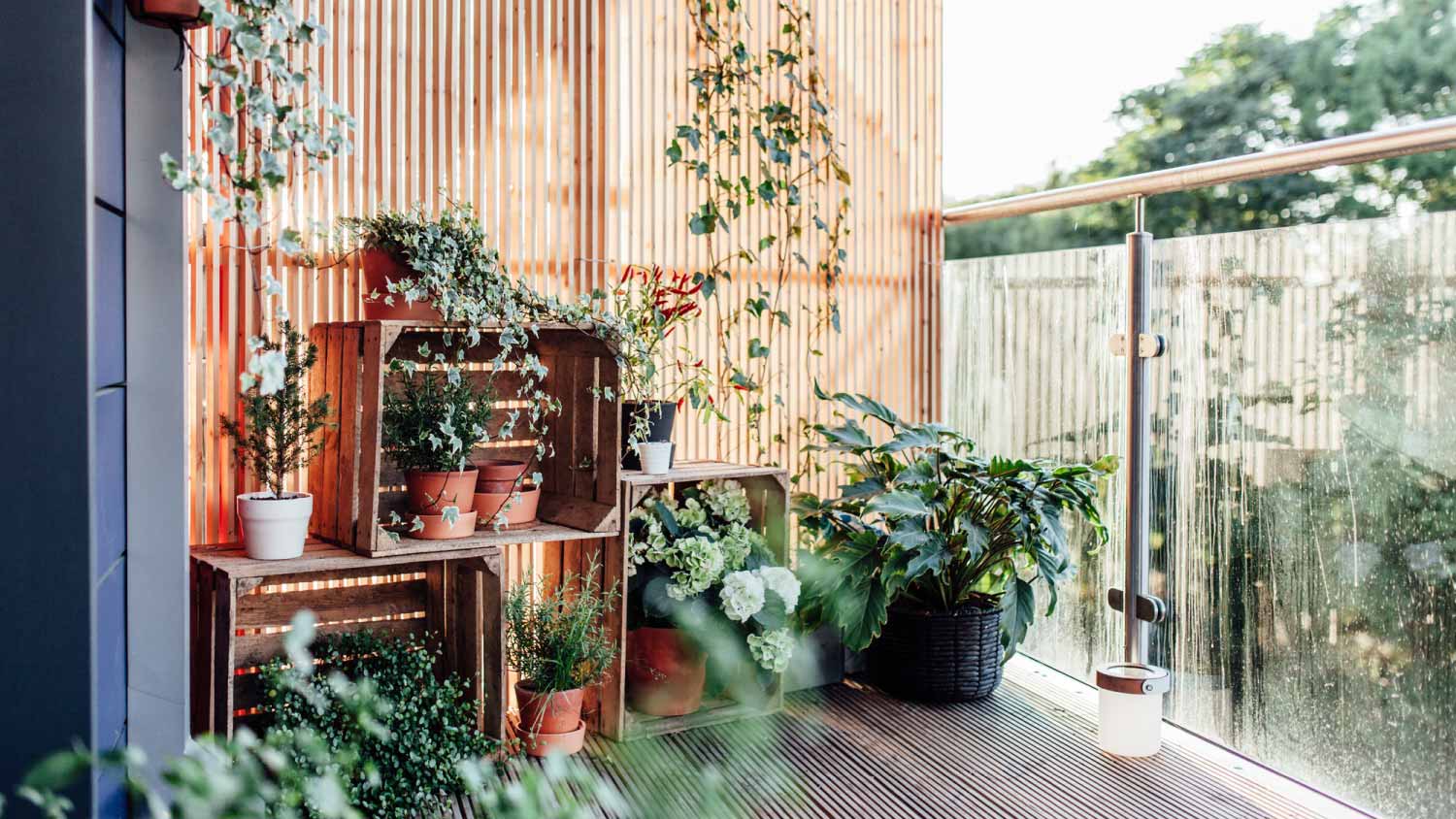 Outdoor plants in balcony