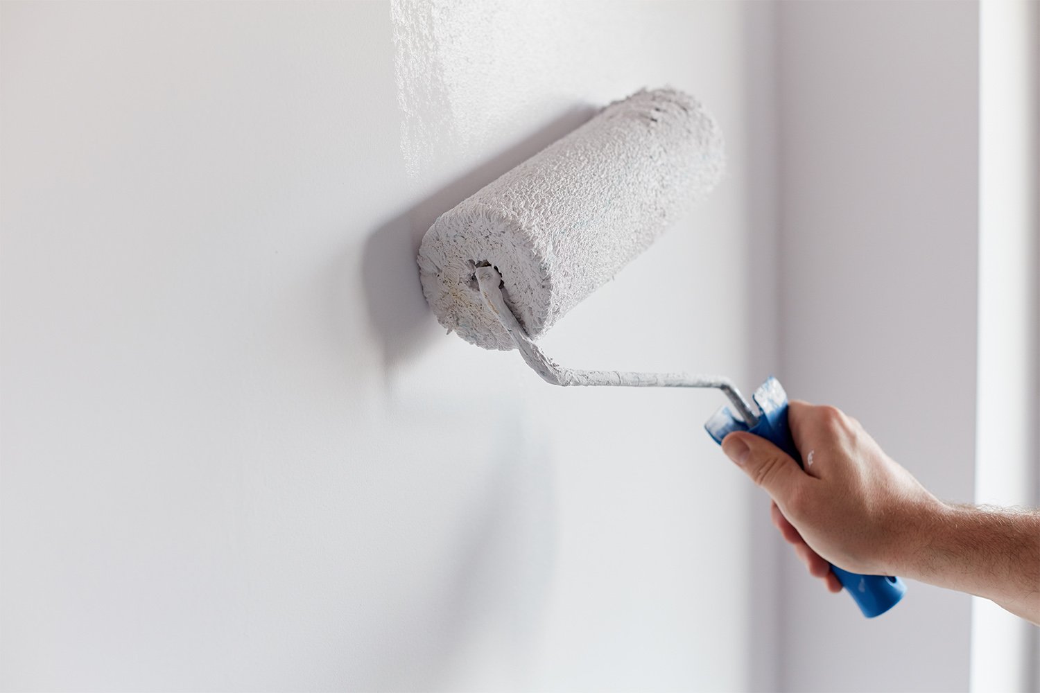 Professional painting a wall with a paint roller