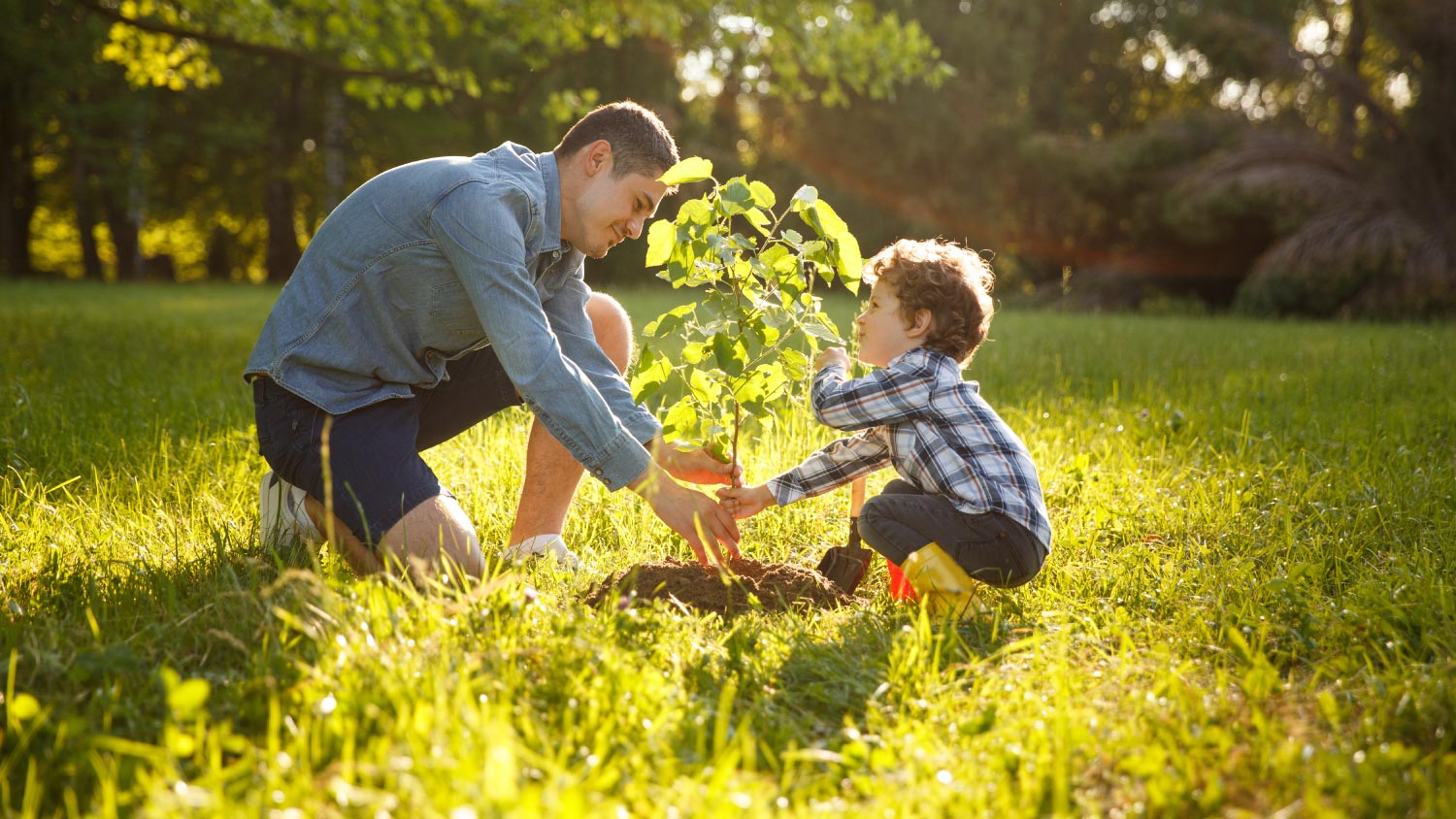 Parent and child planting tree