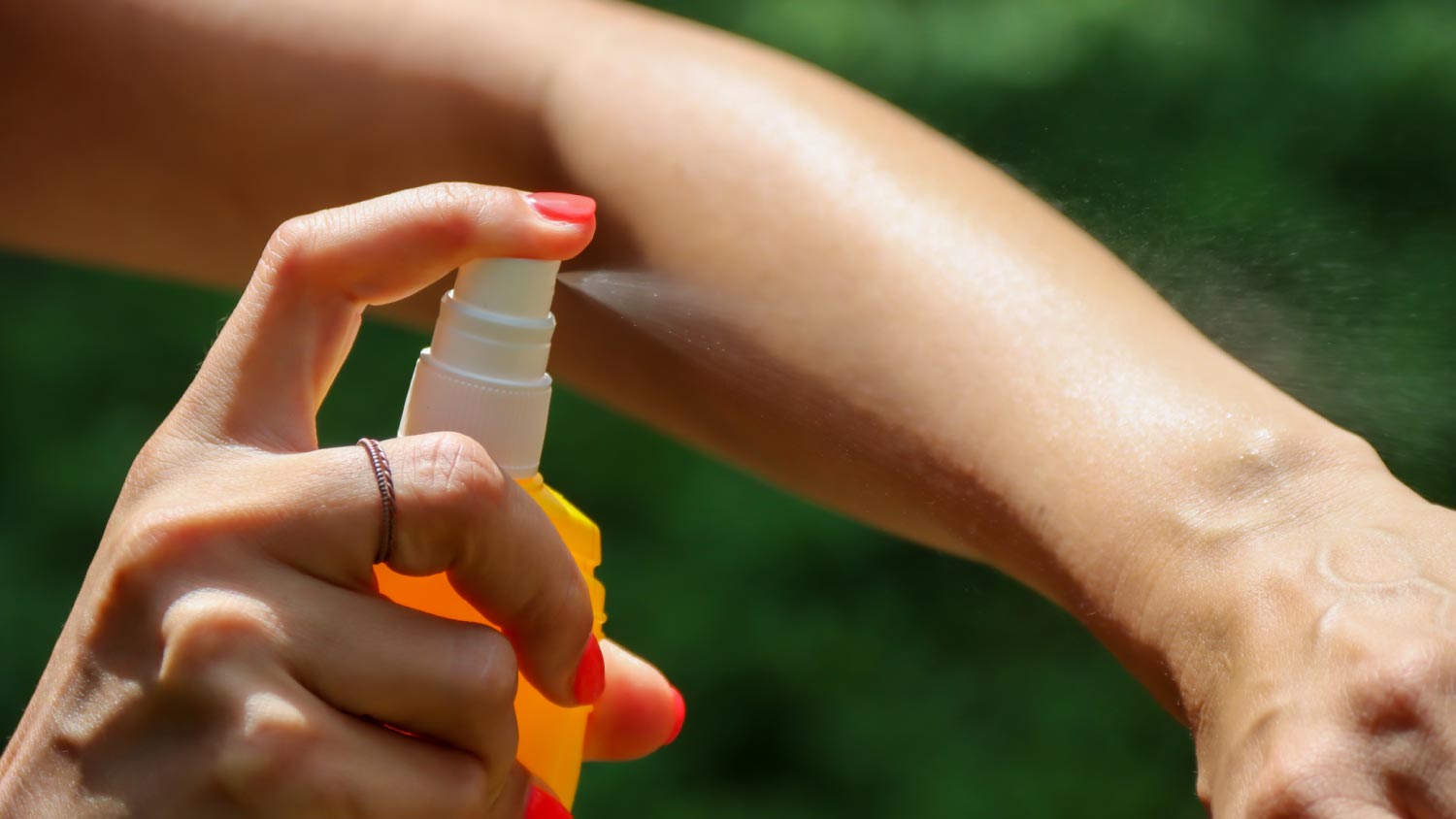 A person spraying mosquito insect repellent