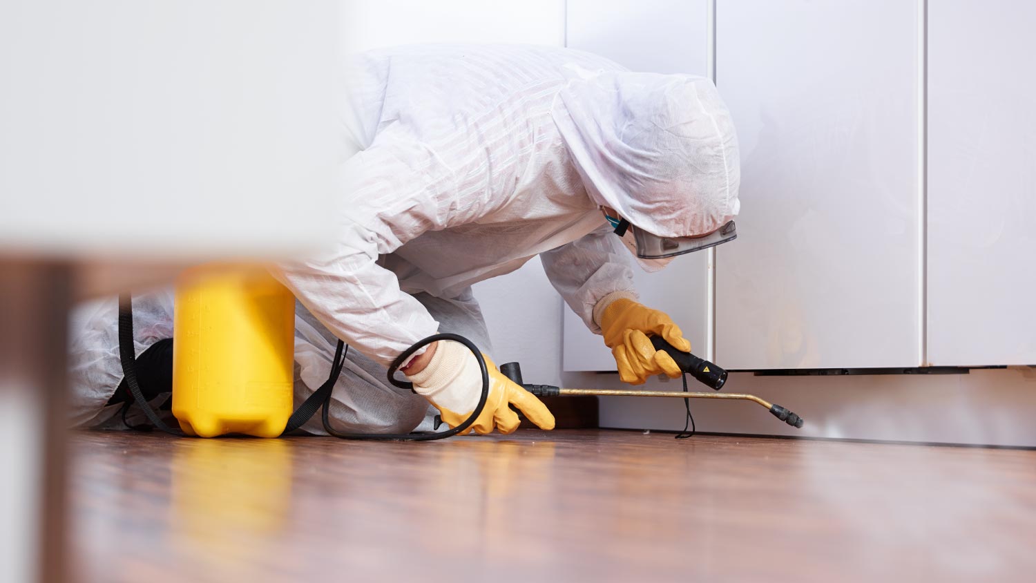 Pest controller working in the kitchen