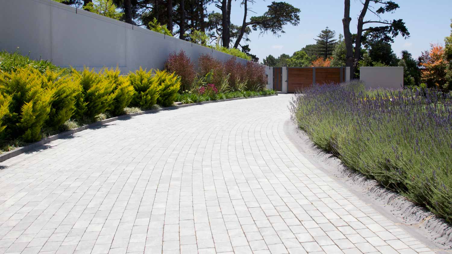 Plants along cobblestone driveway