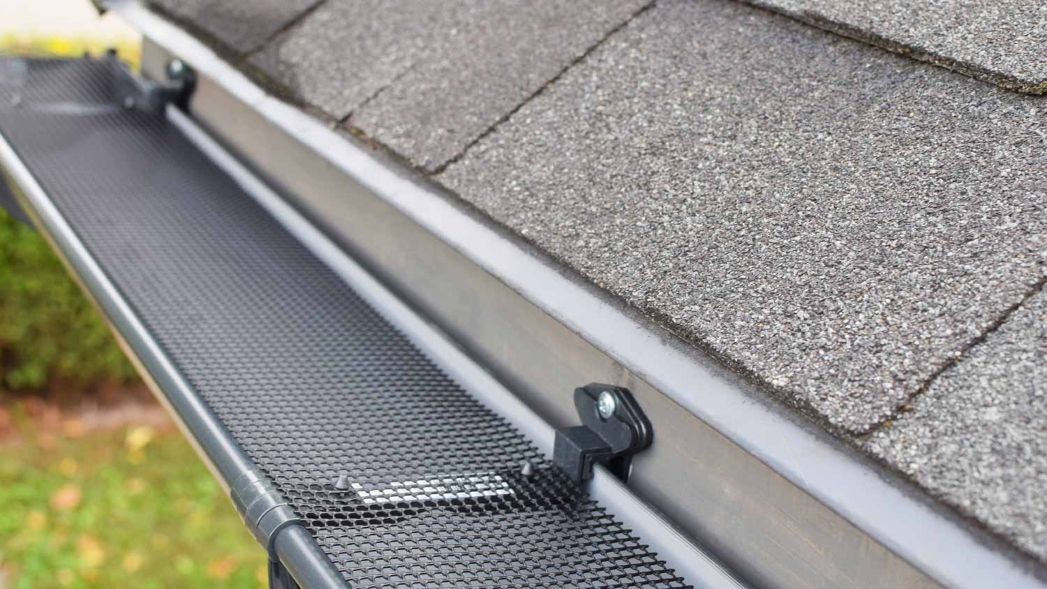 Plastic guard over rain gutter