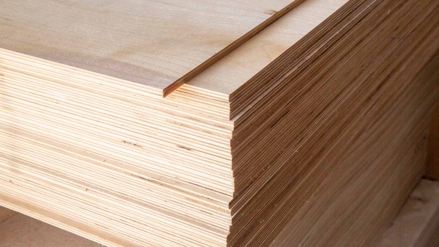 Plywood for construction