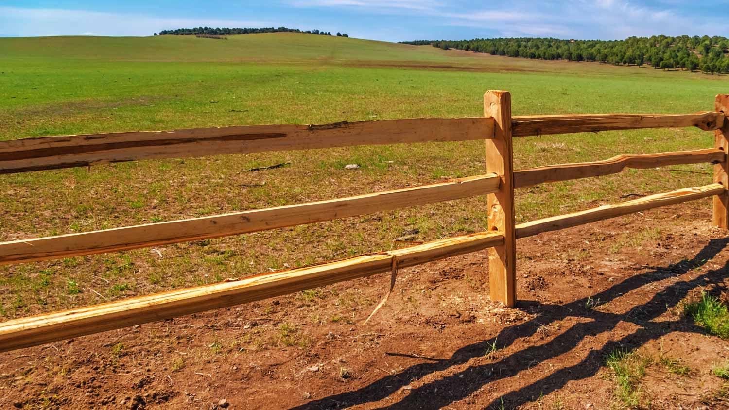 Post-and-rail fence