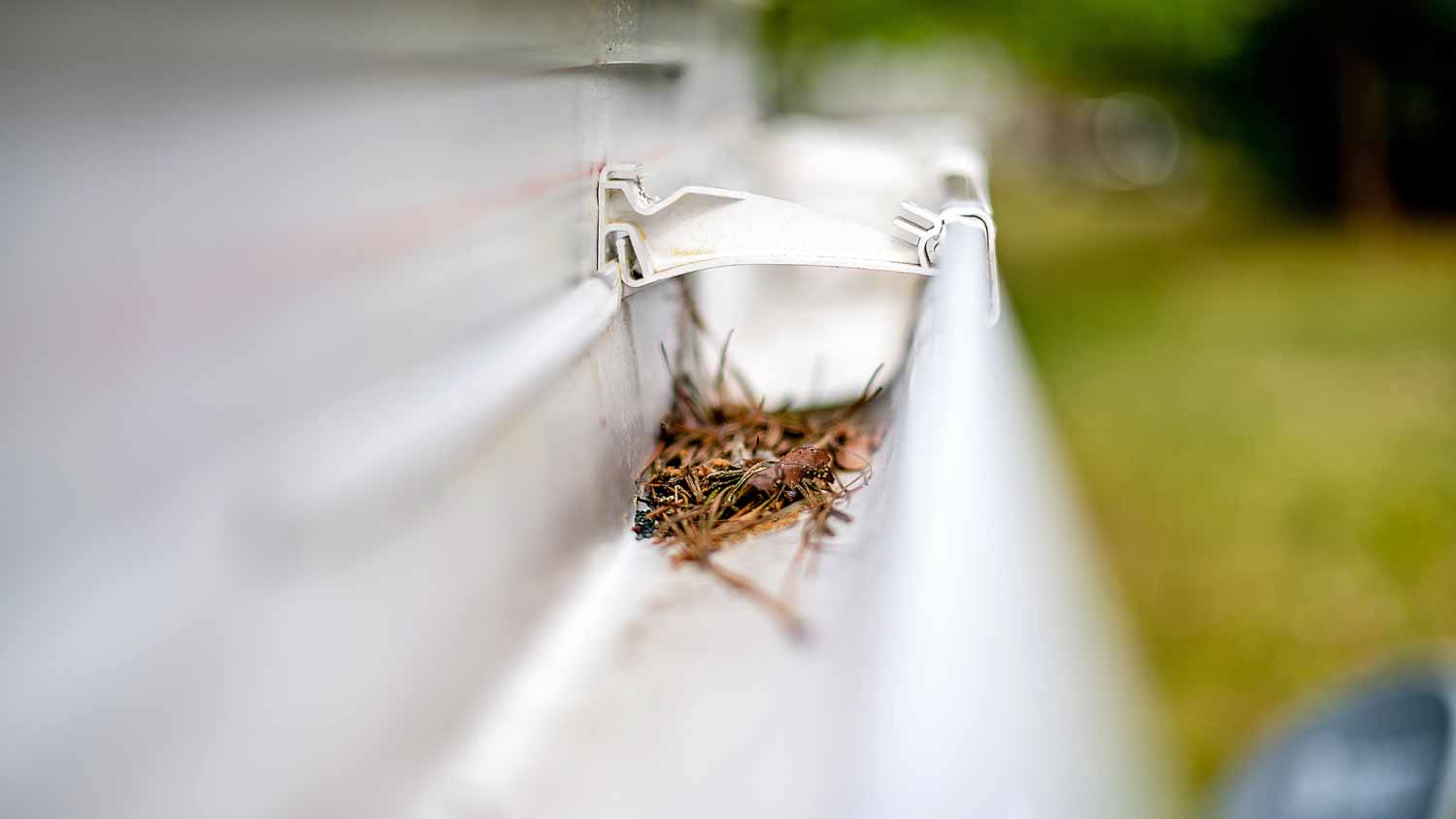 Rain gutter with leaves