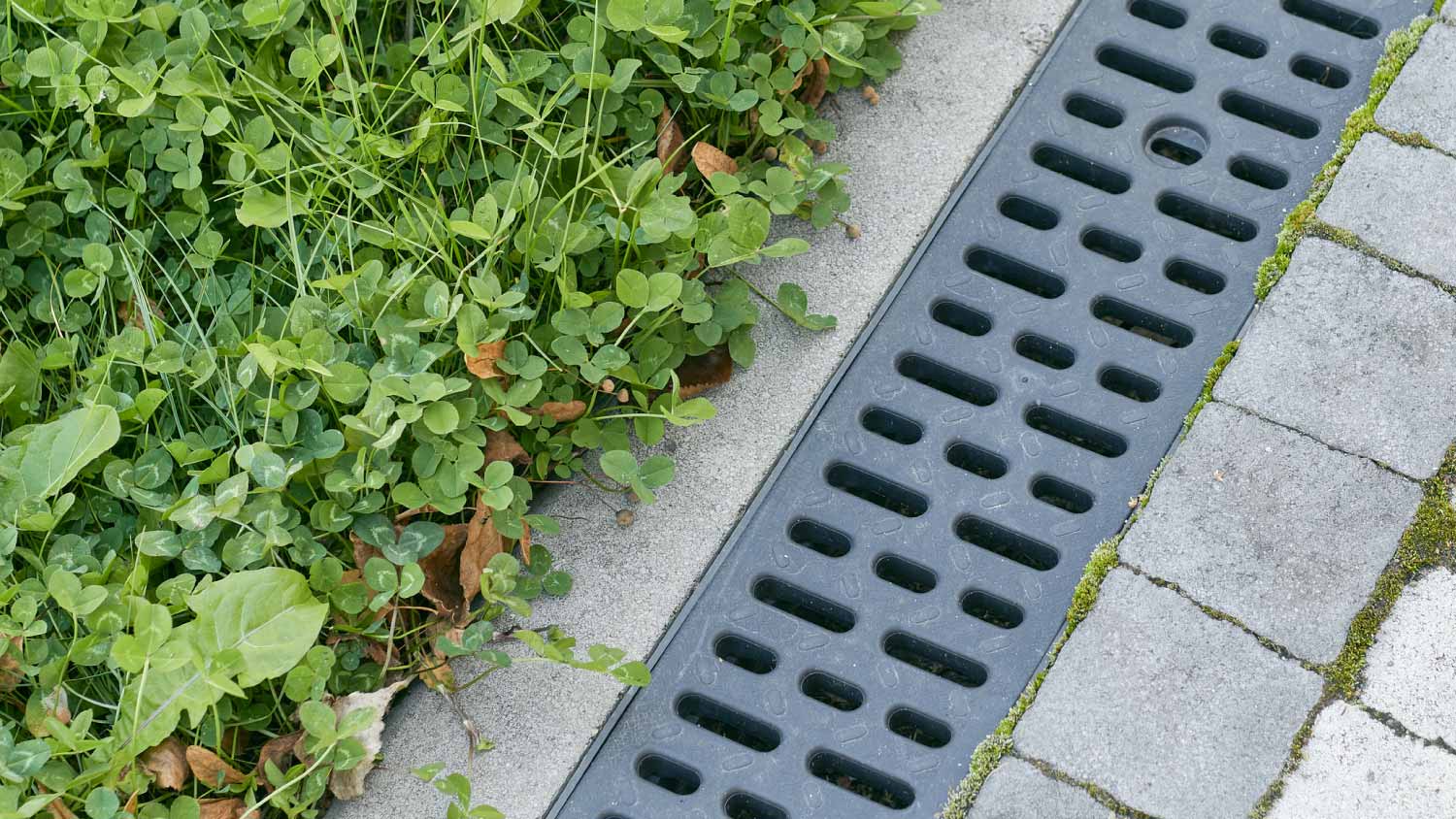 Rainwater drainage on the street