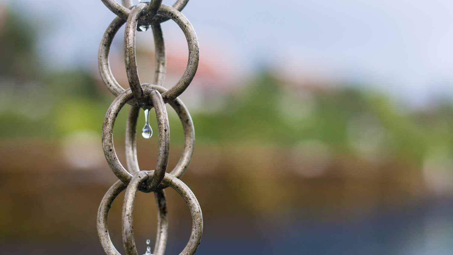 Rainwater dripping down a rain chain