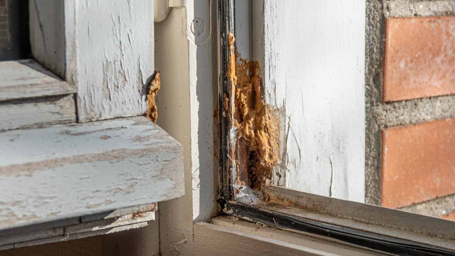 Rotten wooden window frame