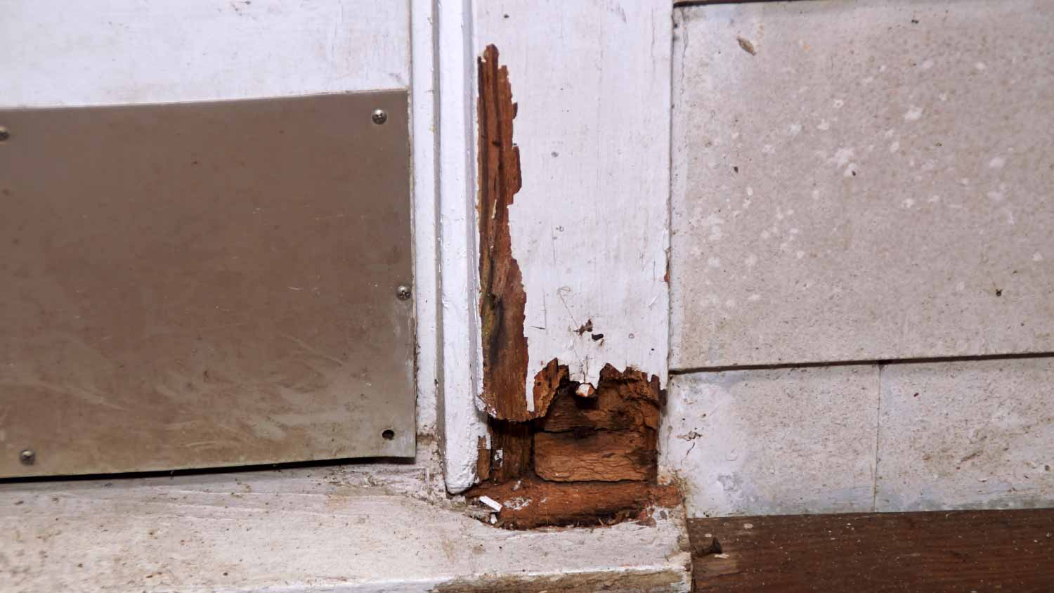 Rotting door frame