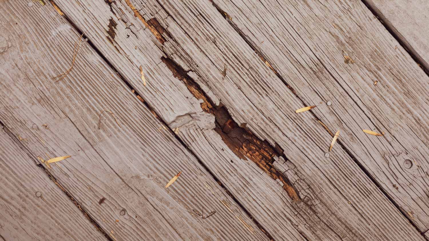 Rotting wood on outdoor patio