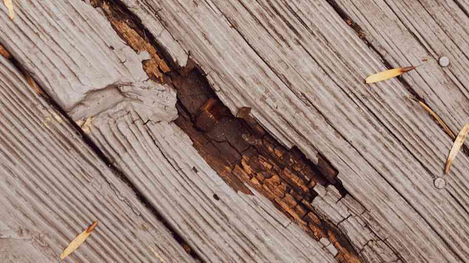 Rotting wood on outdoor patio deck