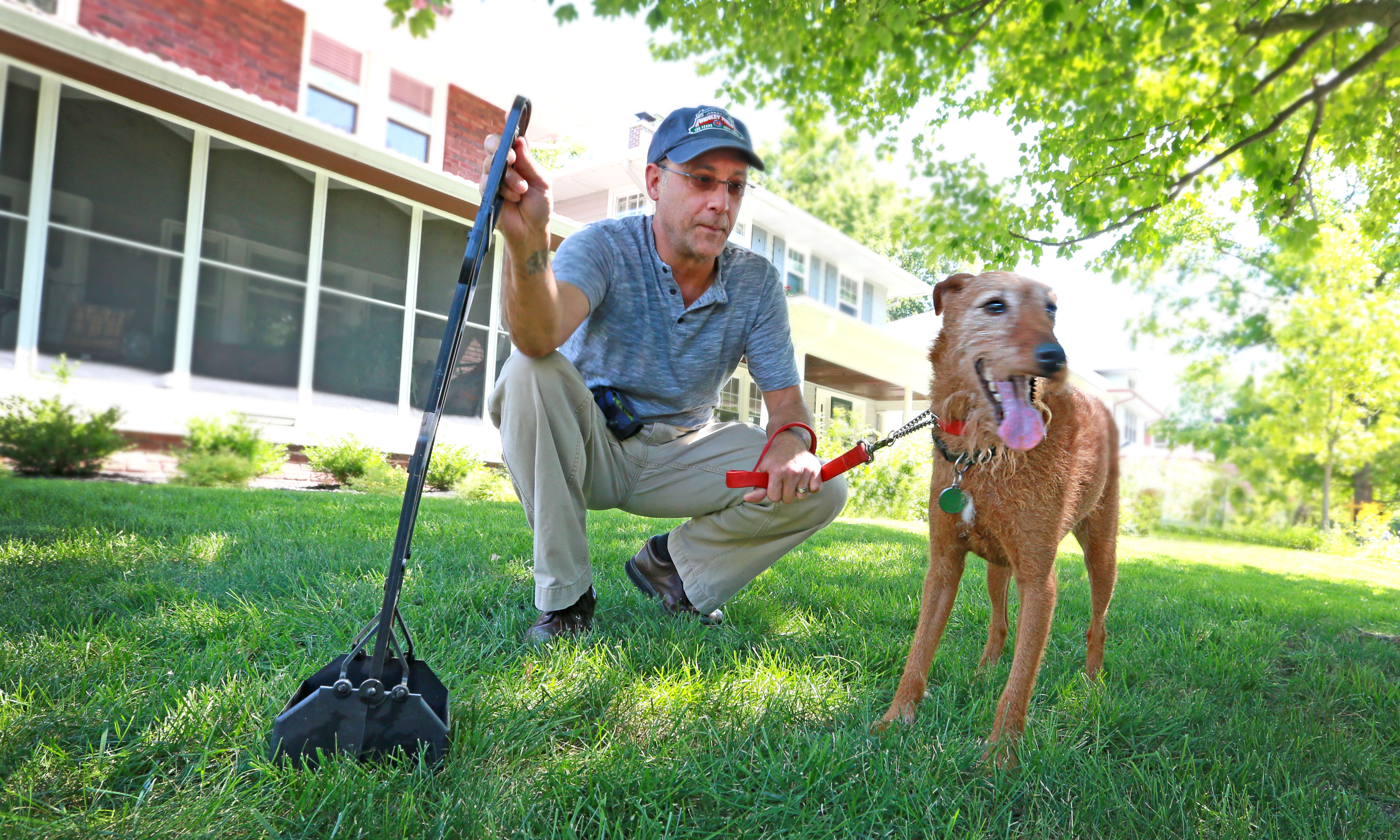 How to Hire a Pooper Scooper